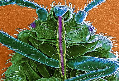 传索尼将在6月初举办PlayStation发布会